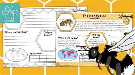 bee result|report bee.